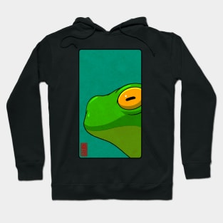 can i interest you frog Hoodie